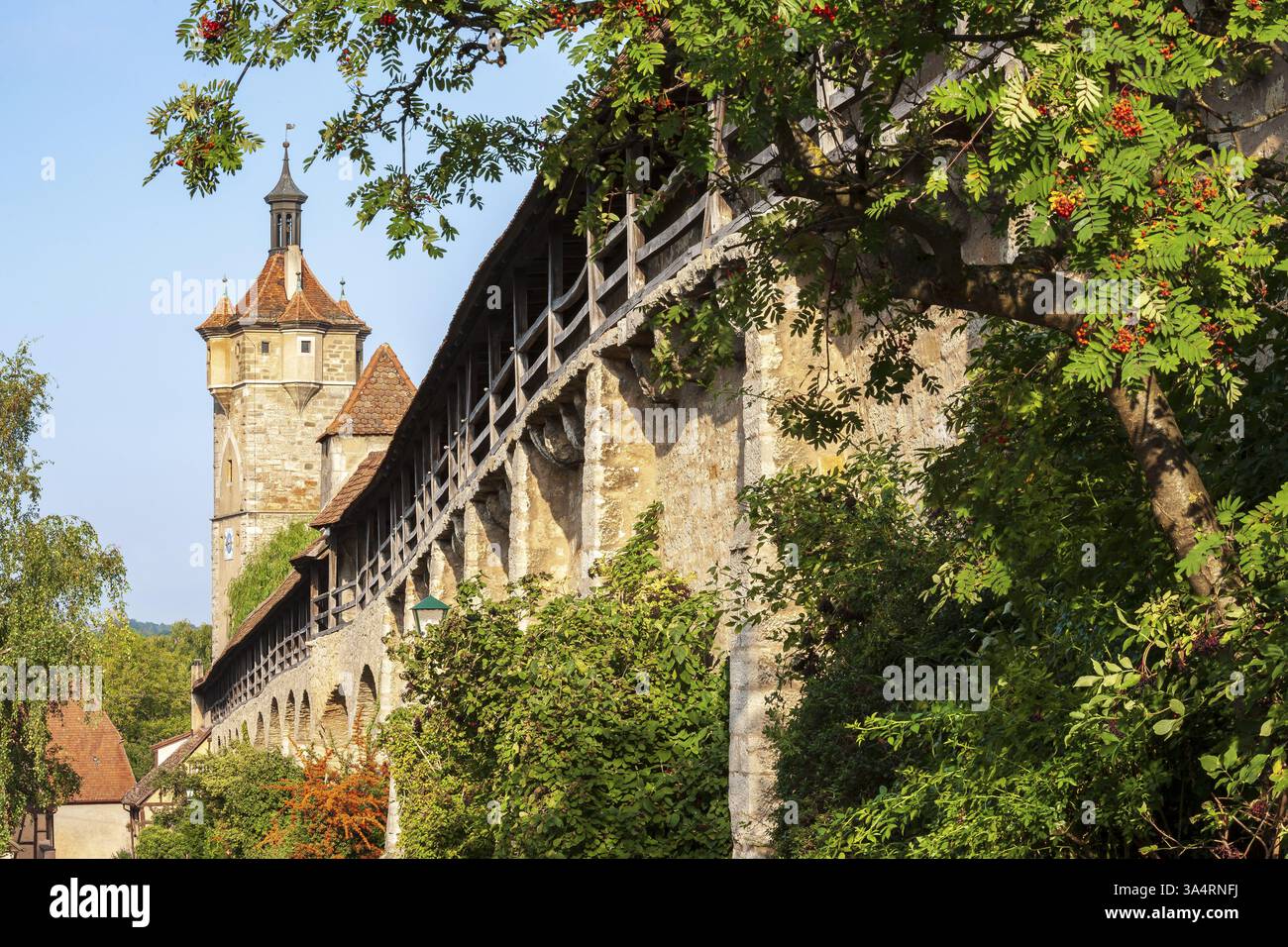 Le merlature delle mura cittadine nel centro storico, dietro la torre del Klingentor, Rothenburg ob der Tauber, Franconia, Baviera, Germania, Foto Stock