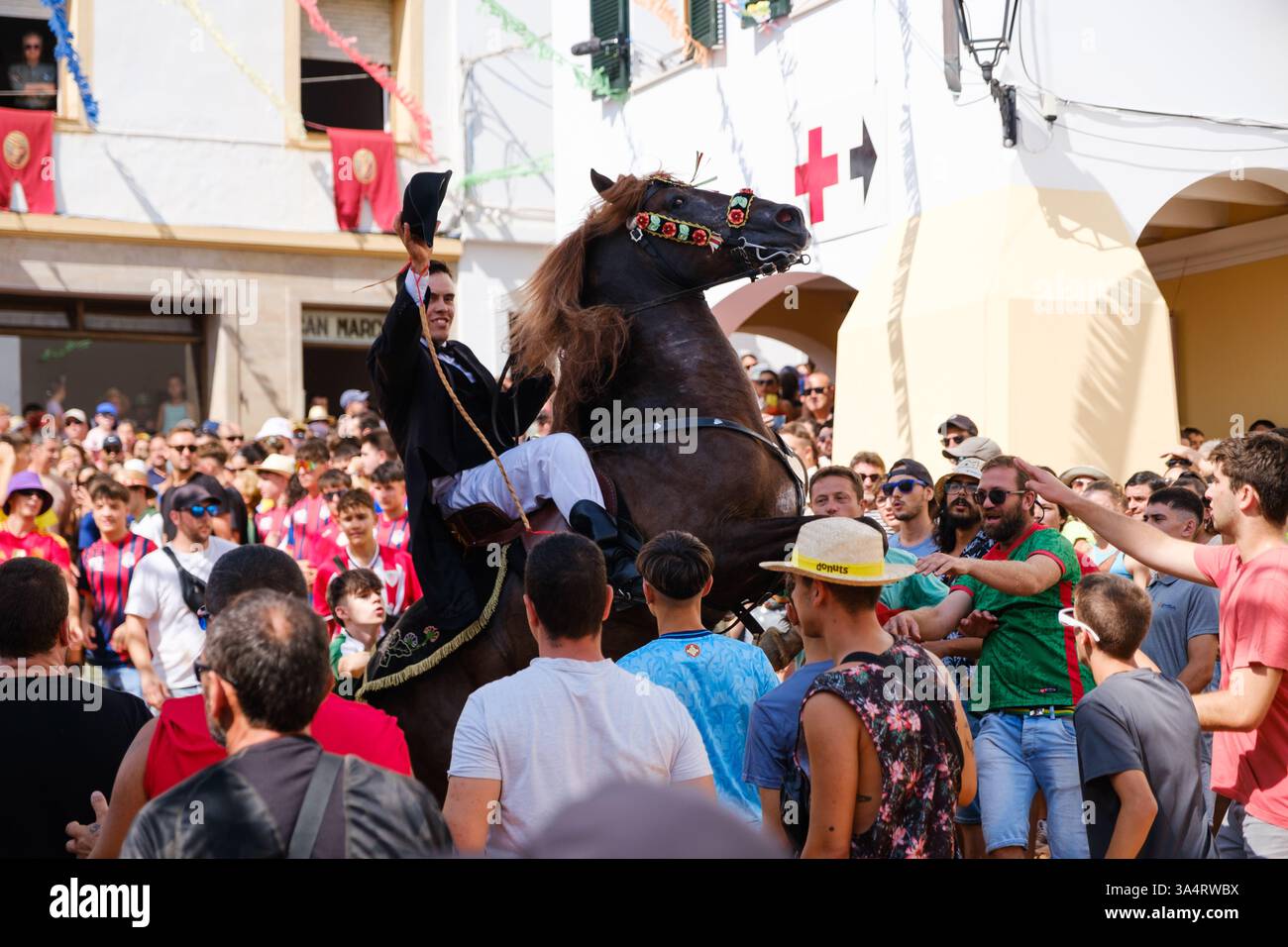 Jaleo, festa tradizionale con cavalli nella città di Ferreries a Minorca, Isole Baleari, Spagna Foto Stock