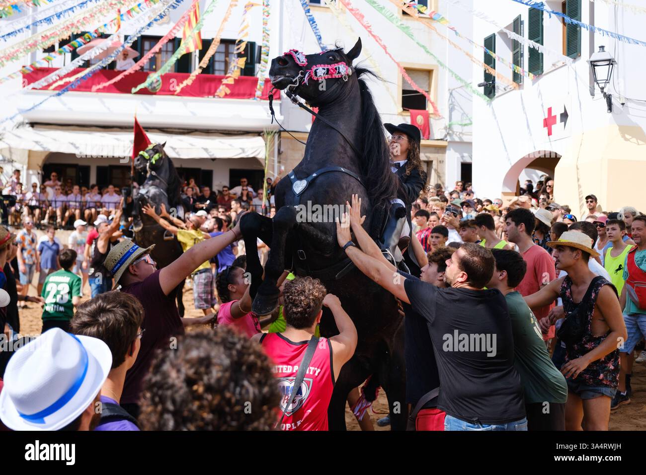 Jaleo, festa tradizionale con cavalli nella città di Ferreries a Minorca, Isole Baleari, Spagna Foto Stock