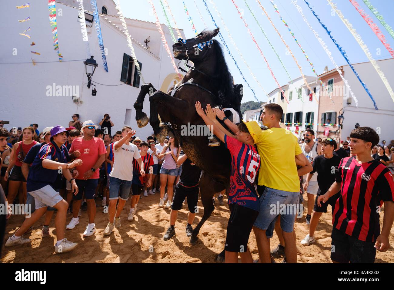 Jaleo, festa tradizionale con cavalli nella città di Ferreries a Minorca, Isole Baleari, Spagna Foto Stock