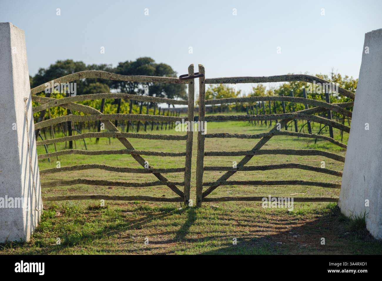 Tanca menorquina, tradicionalment fetes amb fusta amb un disseny icònic i inconfuse Foto Stock