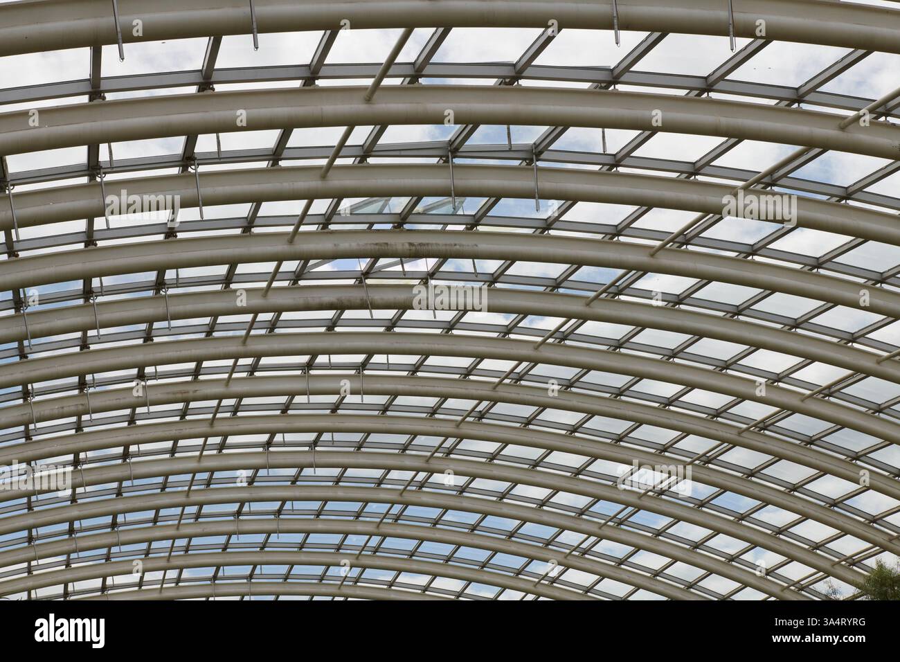 Guardando il grande tetto della serra presso il National Botanic Garden of Wales, Regno Unito Foto Stock