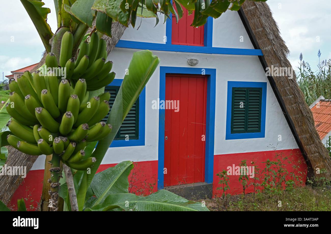Casa tradizionale di Madeira Foto Stock