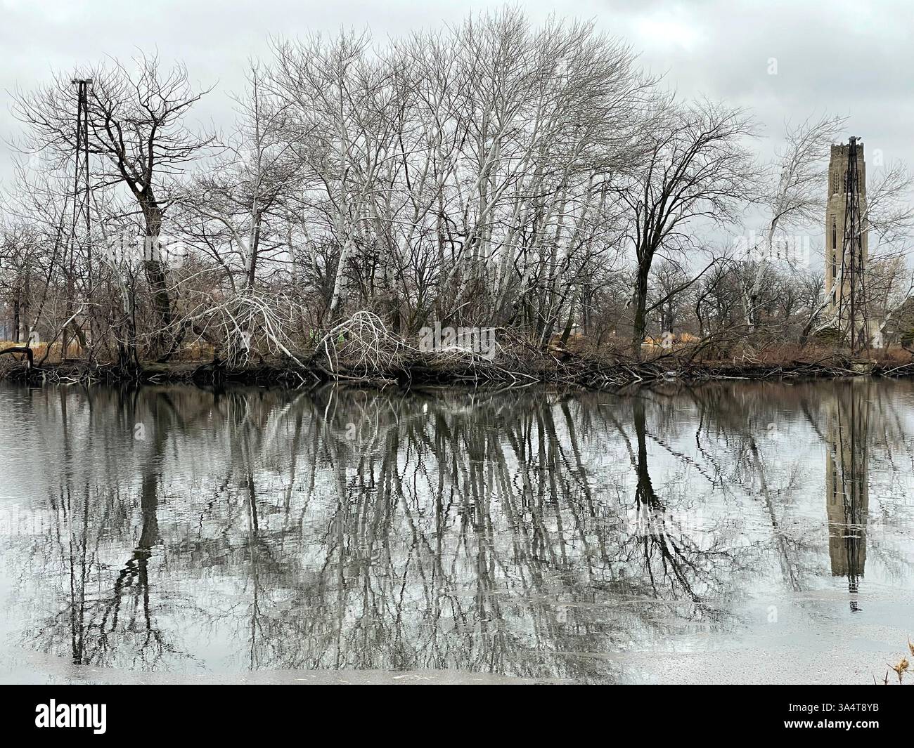 alberi invernali riflessi nell'acqua Foto Stock