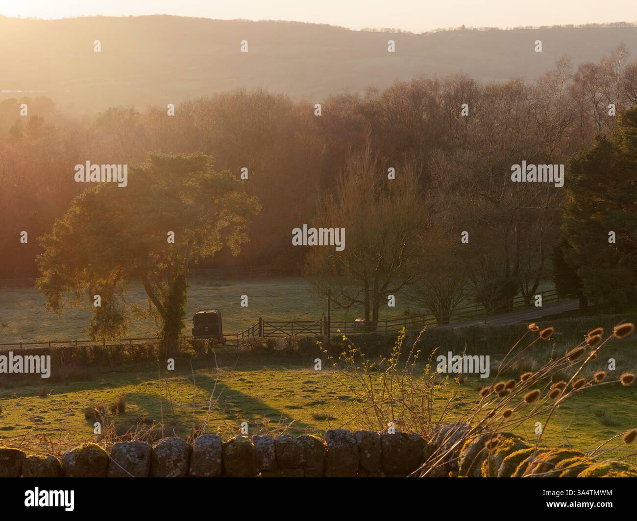 Caratteristico albero accanto alla scatola dei cavalli in un campo al tramonto con pareti in pietra in primo piano e colline dietro a Biddulph, Staffordshire, marzo 25 Foto Stock
