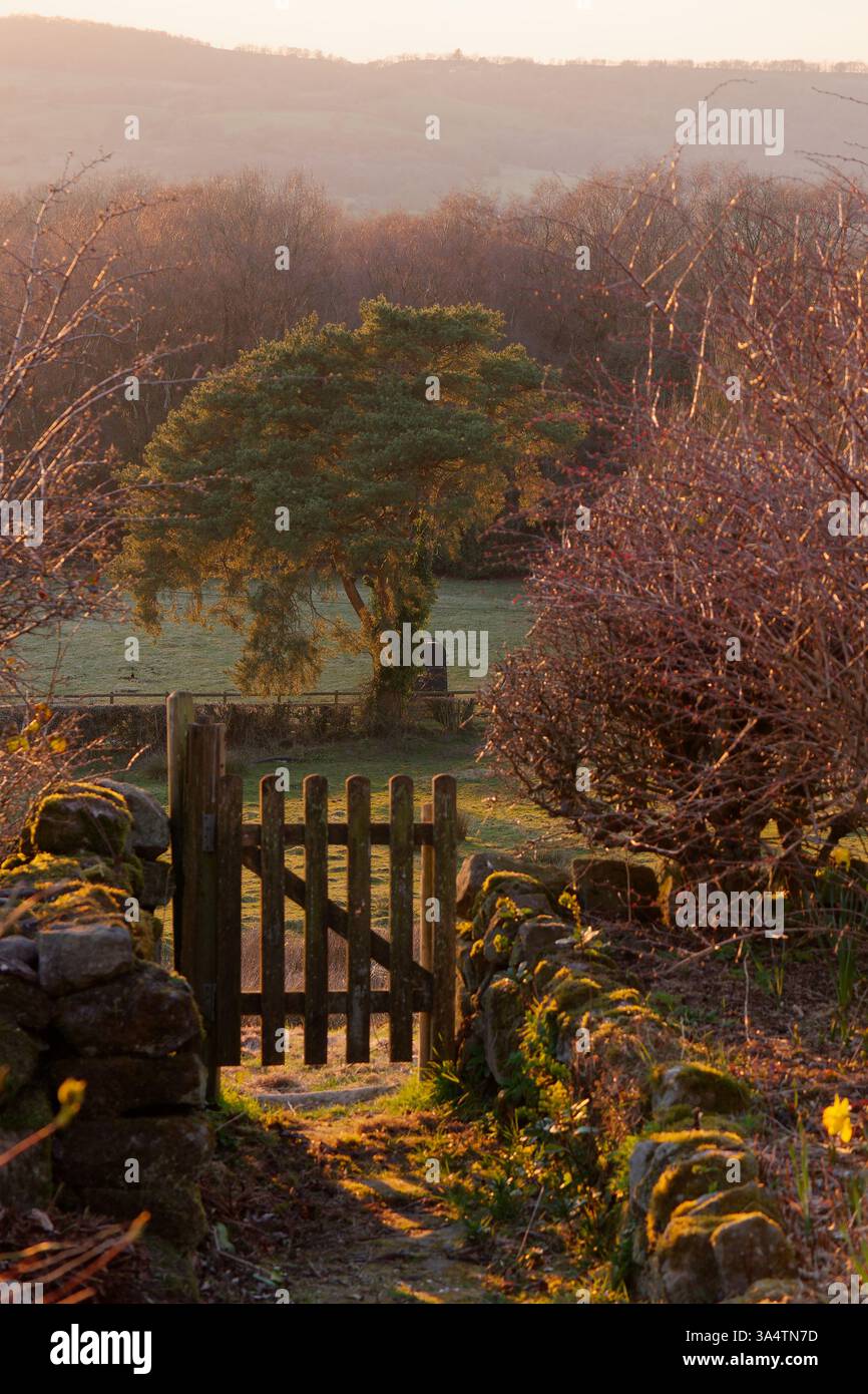 Porta da giardino che conduce al campo con un caratteristico albero accanto alla scatola dei cavalli in un campo al tramonto a Biddulph, Staffordshire, marzo 25 Foto Stock