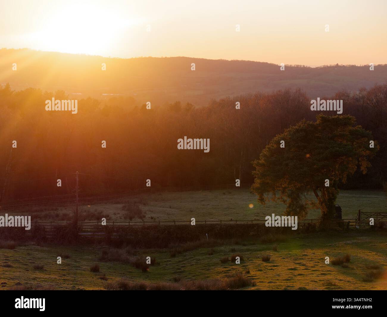 Albero caratteristico accanto alla scatola dei cavalli in un campo al tramonto con colline dietro a Biddulph, Staffordshire, marzo 25 Foto Stock