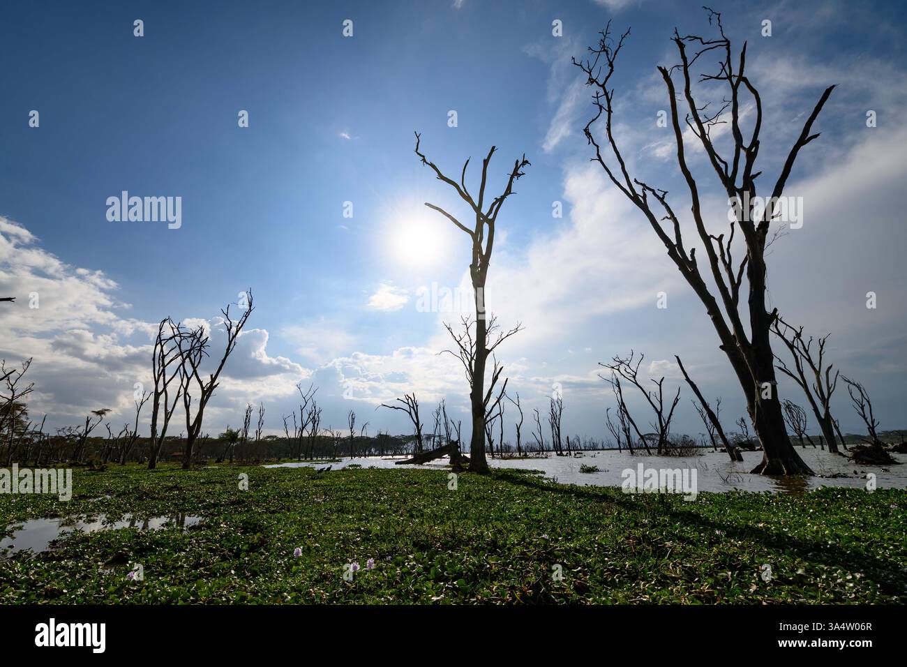Naivasha, Piombino, Kenya. 18 marzo 2025. Atmosfera a Racce, durante il FIA World Rally Championship WRC Safari Rally Kenya 2025 19 marzo, Naivasha. Kenya crediti: Luca Barsali/ZUMA Press Wire/ZUMA Wire/Alamy Live News Foto Stock