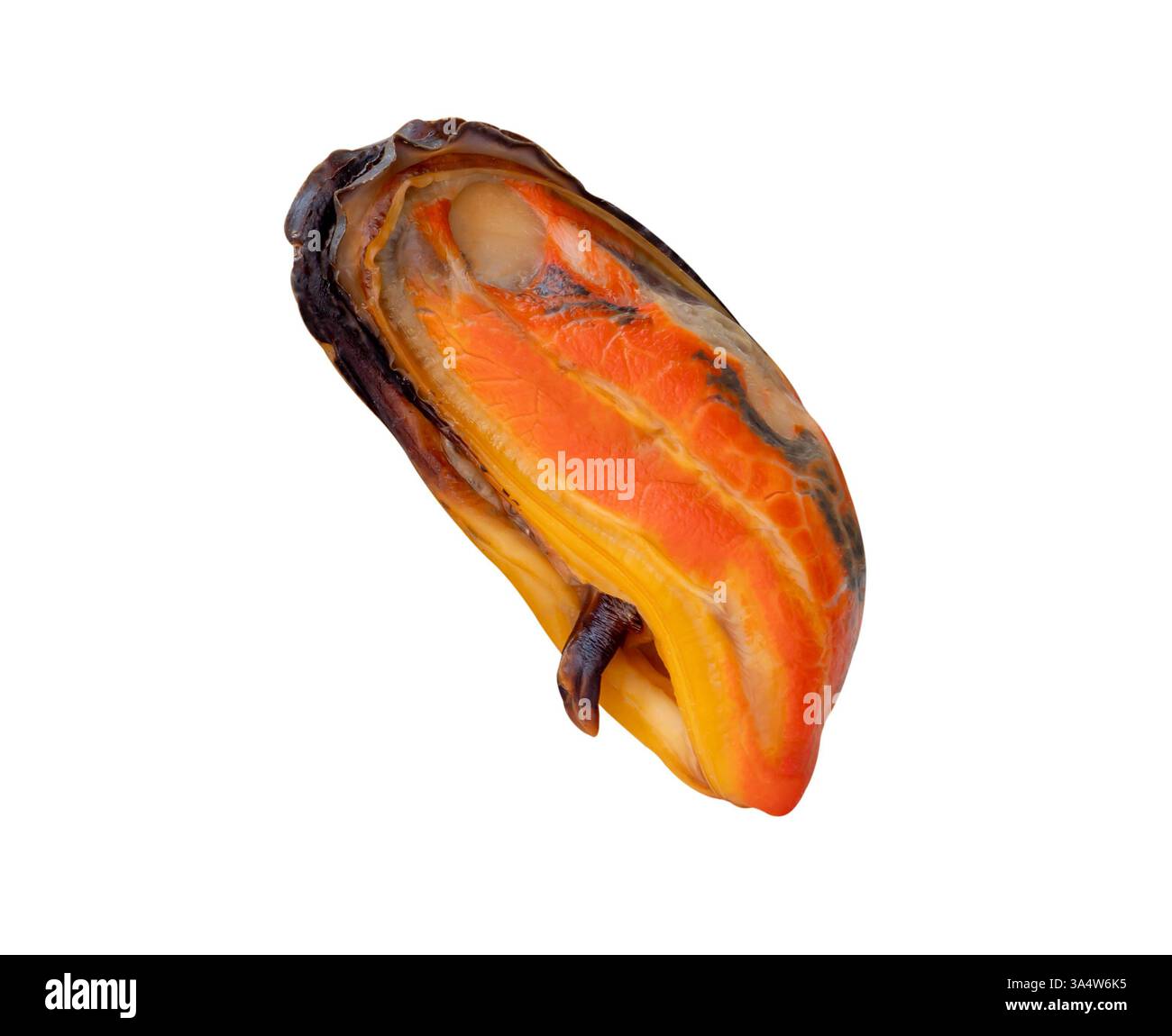 La vista laterale delle cozze verdi cotte in carne rossa senza guscio è isolata su sfondo bianco con percorso di ritaglio. Foto Stock