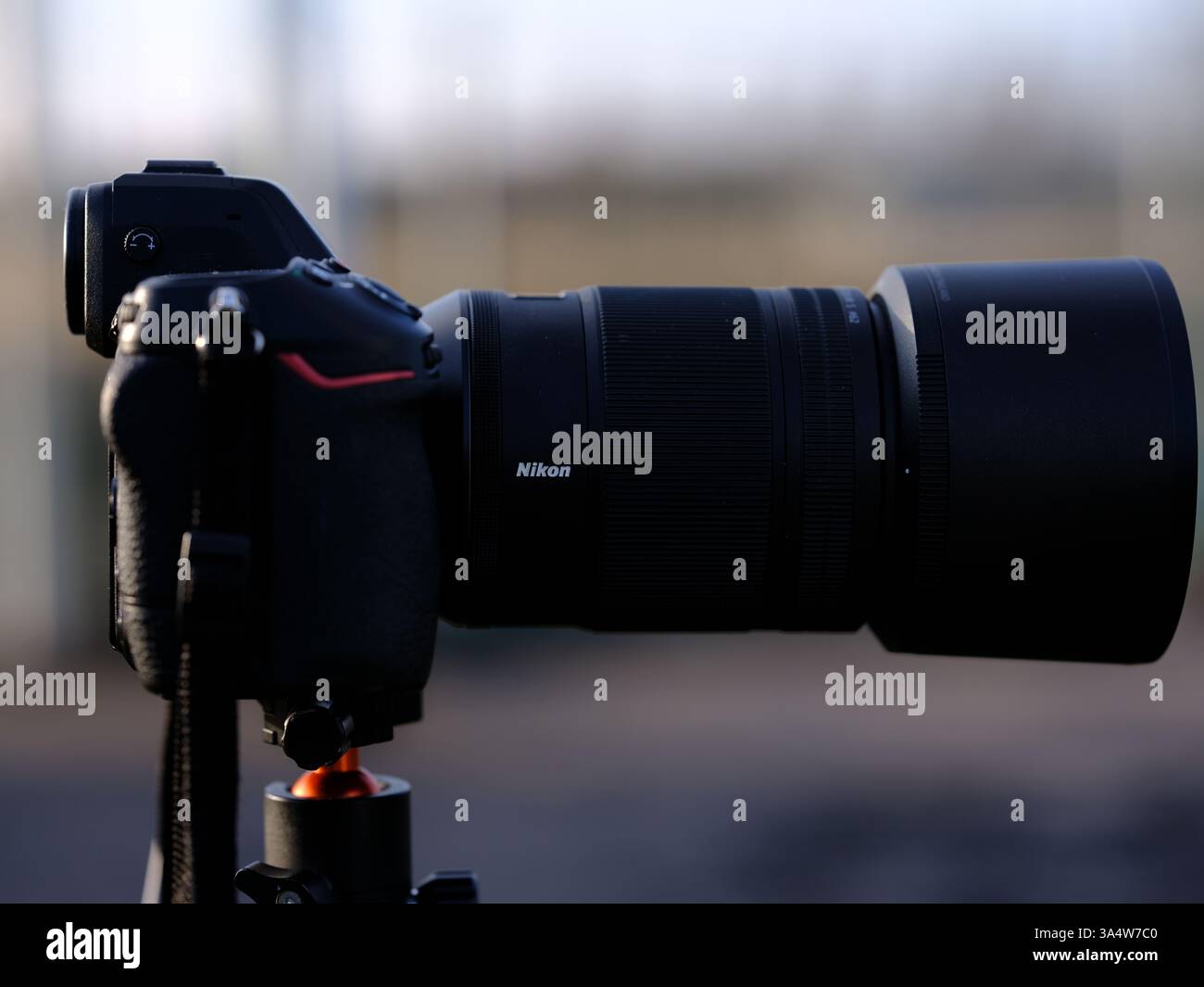 Markaryd, Kronoberg, Svezia. 8 marzo 2025. Nikon Z8 su un treppiede. Foto Stock