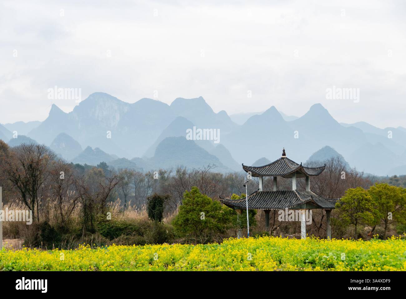 Golden Fields e Rolling Hills: Un tranquillo paesaggio rurale a Guilin Foto Stock
