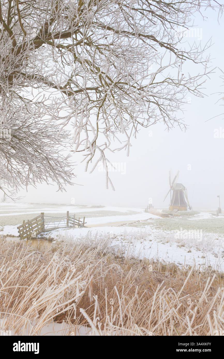 Paesaggio invernale olandese con mulino a vento Foto Stock Paesaggio invernale olandese con mulino a vento Foto Stock