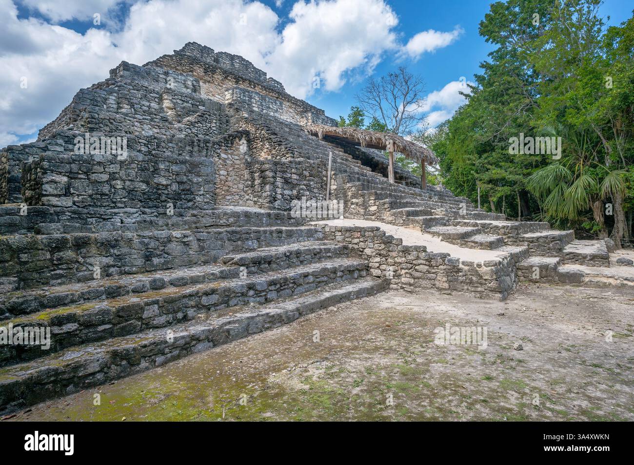 Rovine di piramidi di pietra maya a Chacchoben a Quintana Roo, Messico Foto Stock
