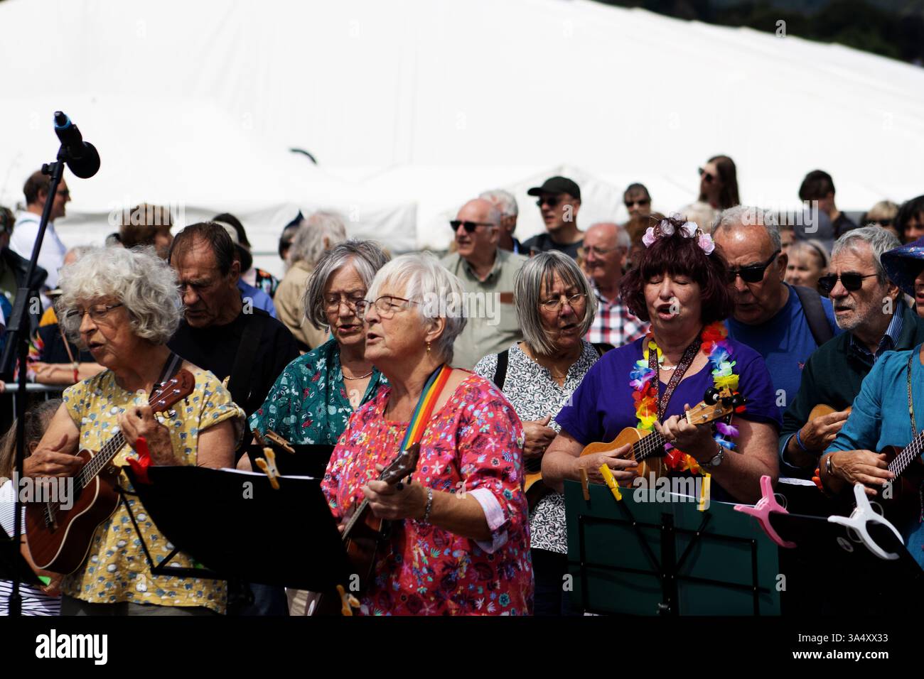 SIDMOUTH, DEVON, Regno Unito - 6 AGOSTO 2023 amichevole per i giocatori di ukulele di Stroud che si esibiscono al Ham Foto Stock SIDMOUTH, DEVON, Regno Unito - 6 AGOSTO 2023 amichevole per i giocatori di ukulele di Stroud che si esibiscono al Ham Foto Stock