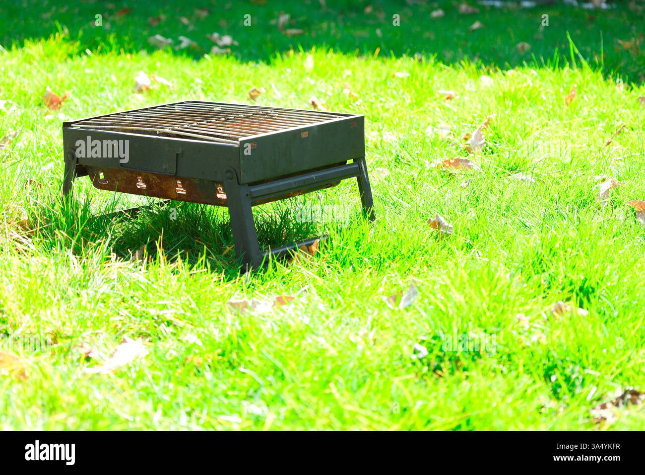 Barbecue all'aperto con cottura della carne in una giornata di sole in un cortile con erba verde. Foto Stock