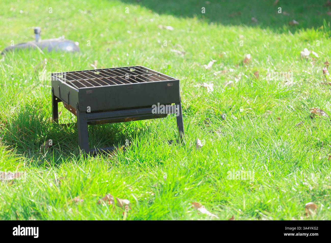 Barbecue all'aperto con cottura della carne in una giornata di sole in un cortile con erba verde. Foto Stock