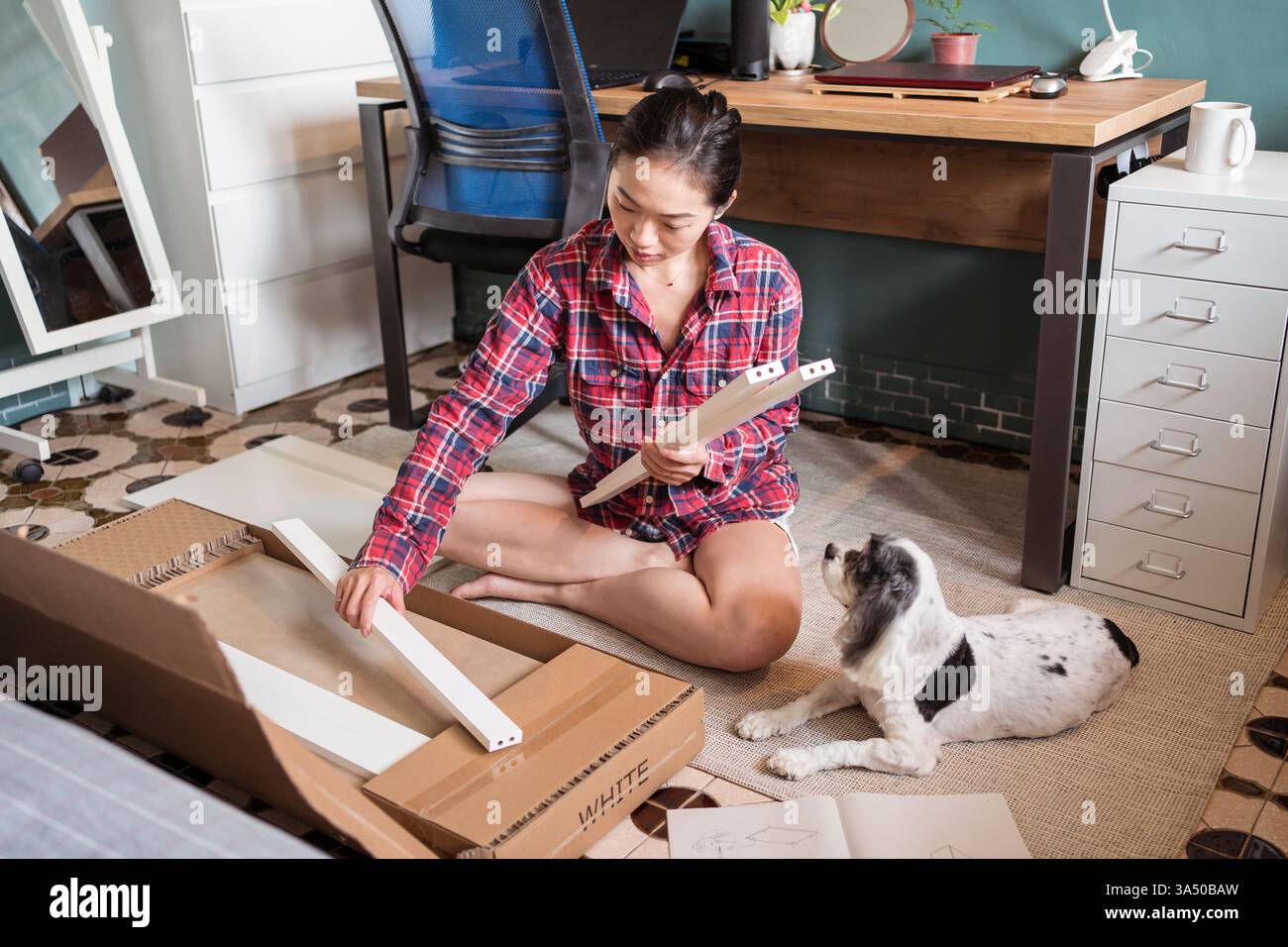 Donna asiatica che assembla nuovi mobili con un cane soffice nelle vicinanze. Una scena di vita domestica perfetta per il miglioramento della casa, l'assemblaggio di mobili e gli animali domestici in casa. Foto Stock
