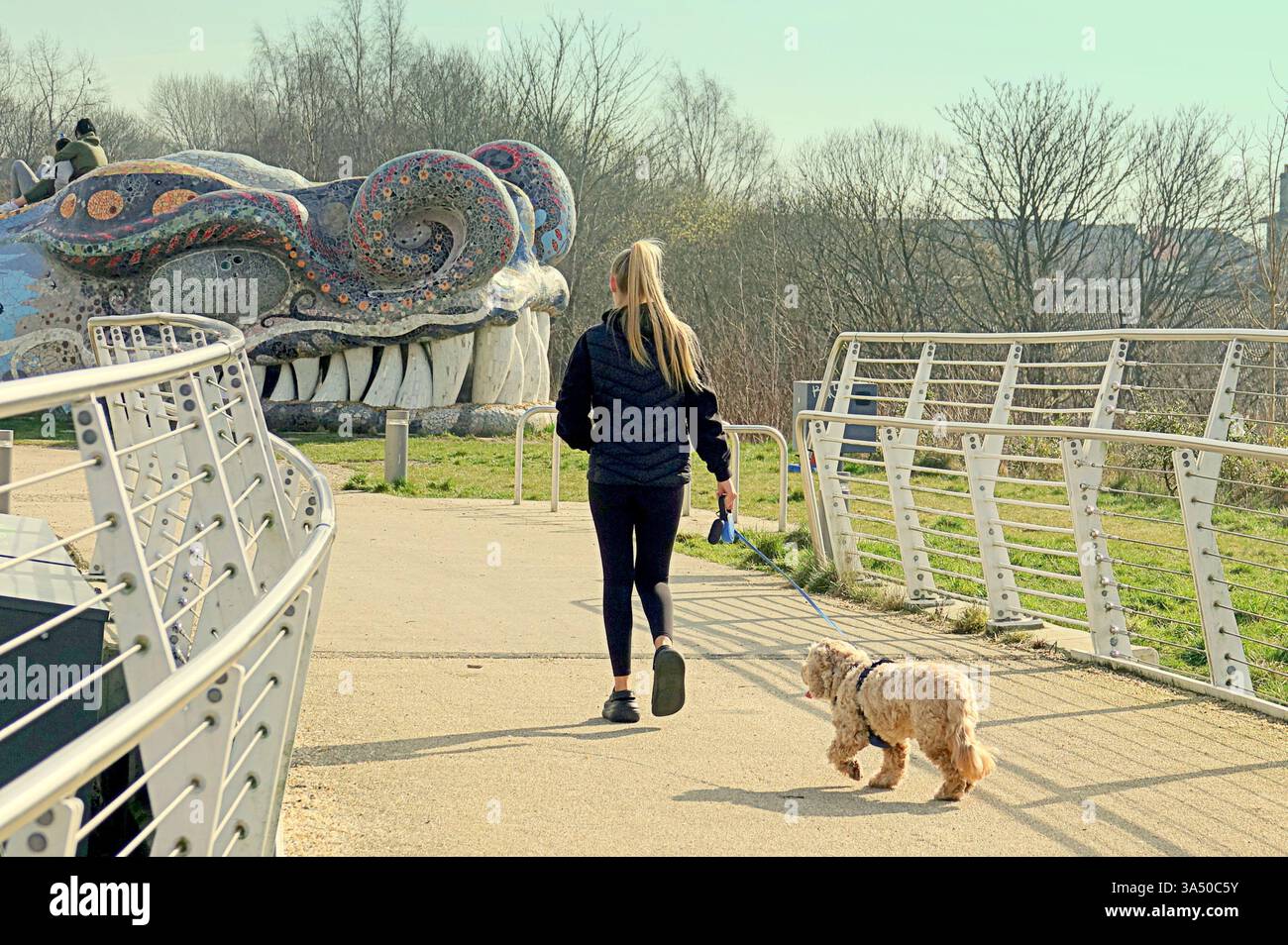 Glasgow, Scozia, Regno Unito. 20 marzo 2025. Tempo nel Regno Unito: L'equinozio di primavera ha visto temperature elevate per la gente del posto e i turisti nel centro della città. Il ponte di Stockingfield ha visto gli ocali camminare. Credit Gerard Ferry/Alamy Live News Foto Stock