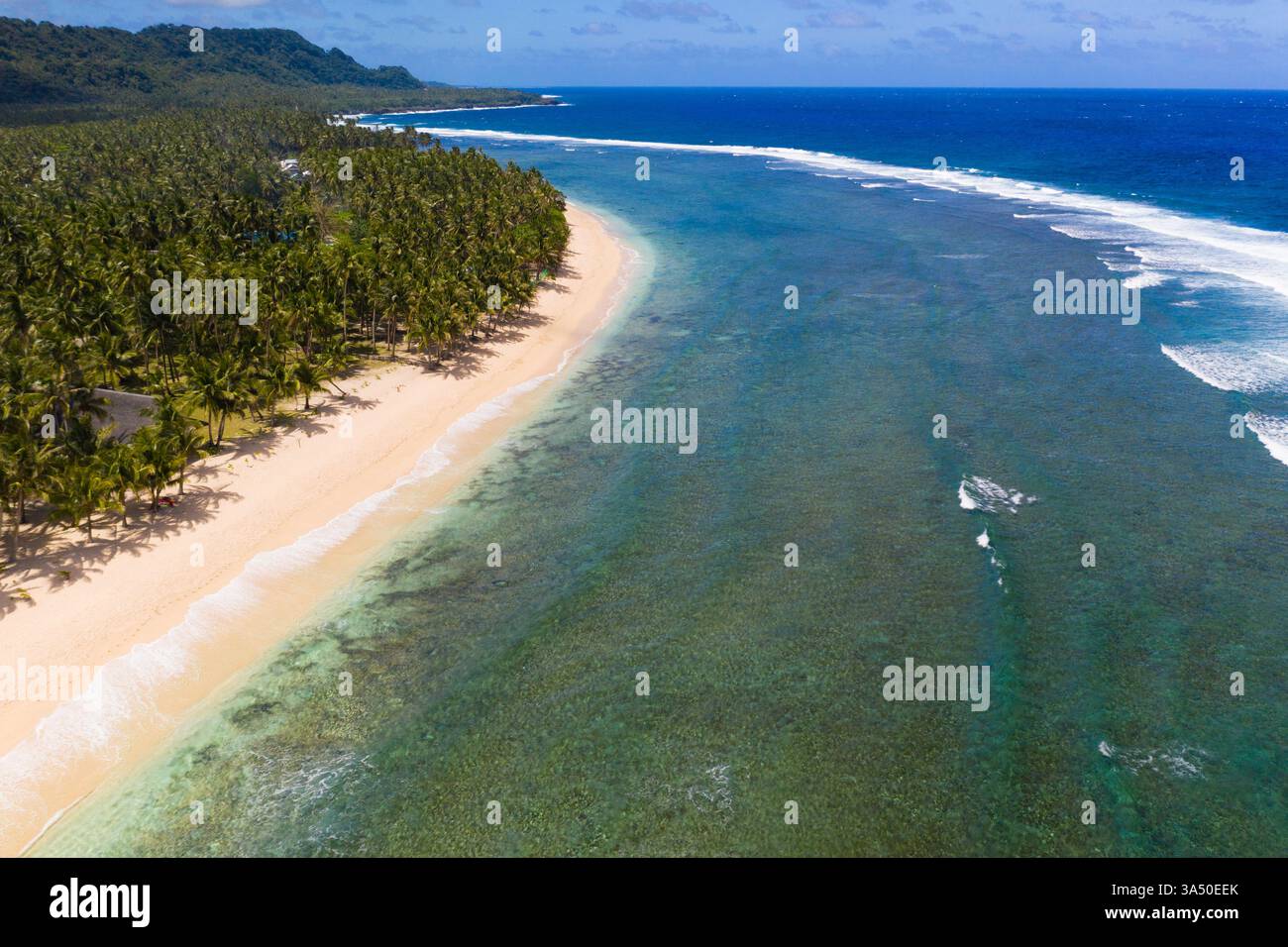 Isola isolata con palme, sabbia bianca e mare blu turchese sotto i cieli estivi. Una spiaggia incontaminata, ideale per viaggi, vacanze tropicali e promozioni sui resort. Perfetto per il marketing turistico, lo stile di vita da spiaggia e le immagini della natura. Foto Stock