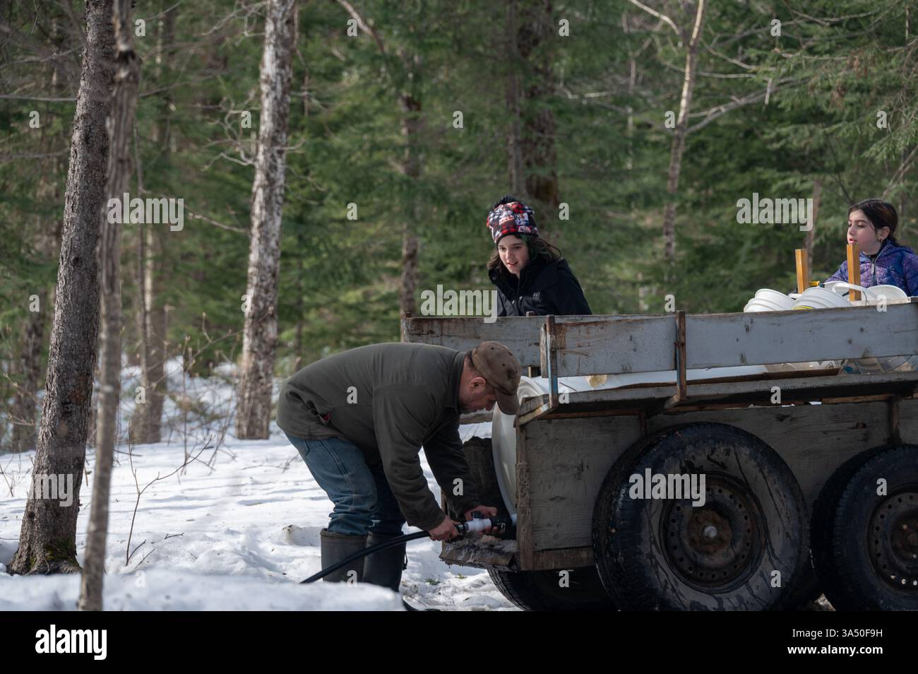 In un tranquillo paesaggio invernale, un gruppo di individui si riunisce nei boschi, raccogliendo linfa dagli alberi d'acero. La neve ricopre il terreno durante il lavoro Foto Stock