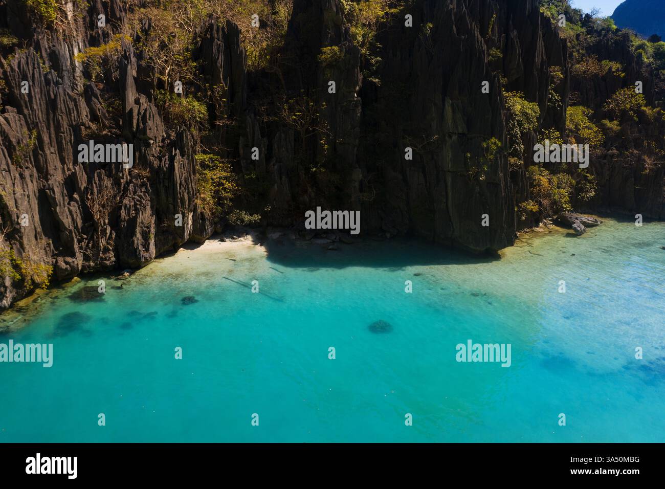 Colpo di droni di formazioni rocciose con alberi su una spiaggia tropicale durante l'estate. Un suggestivo paesaggio isolano perfetto per marketing di viaggio, funzioni di destinazione o campagne di residence con spazio di testo per il branding. Foto Stock