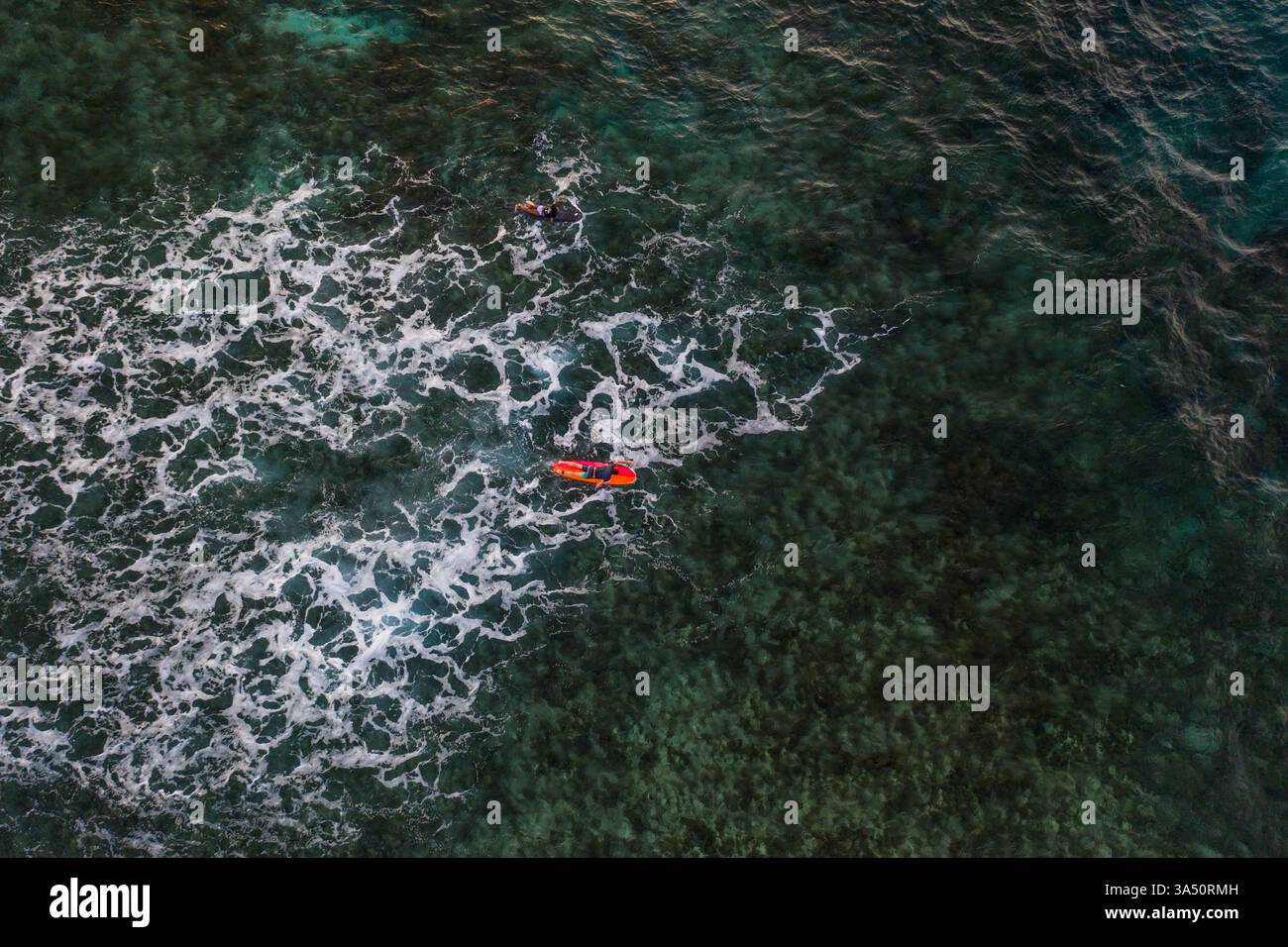 Surfista maschile che cavalca un'onda nell'oceano durante l'estate. Questo action shot cattura il movimento e l'energia del surf per le campagne sportive e di viaggio. Foto Stock