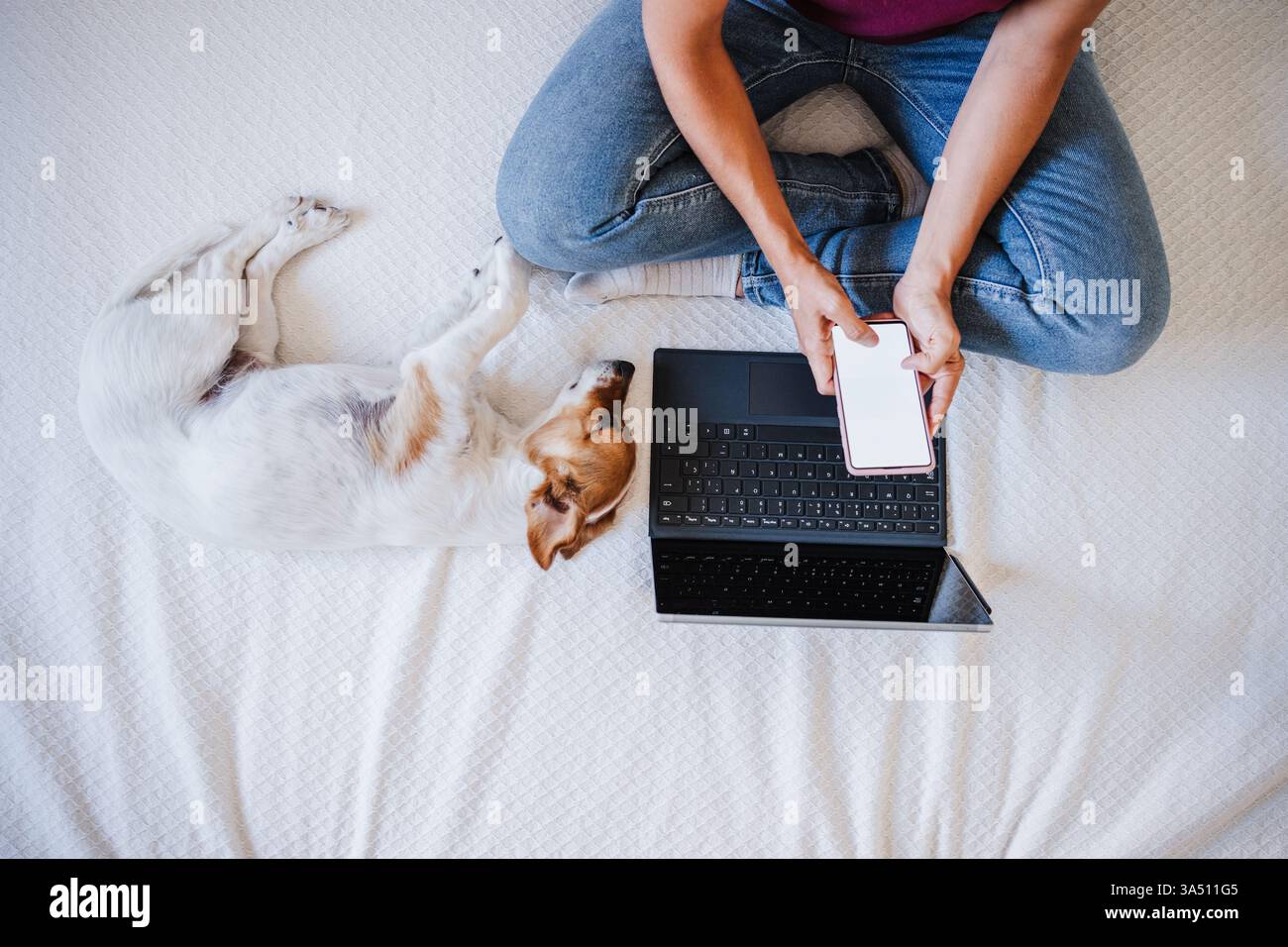 Donna ispanica che utilizza uno smartphone mentre si rilassa sul letto con un cane Jack Russell e un portatile a casa. Ideale per la vita a casa, il lavoro da remoto e i temi dello stile di vita digitale. Foto Stock
