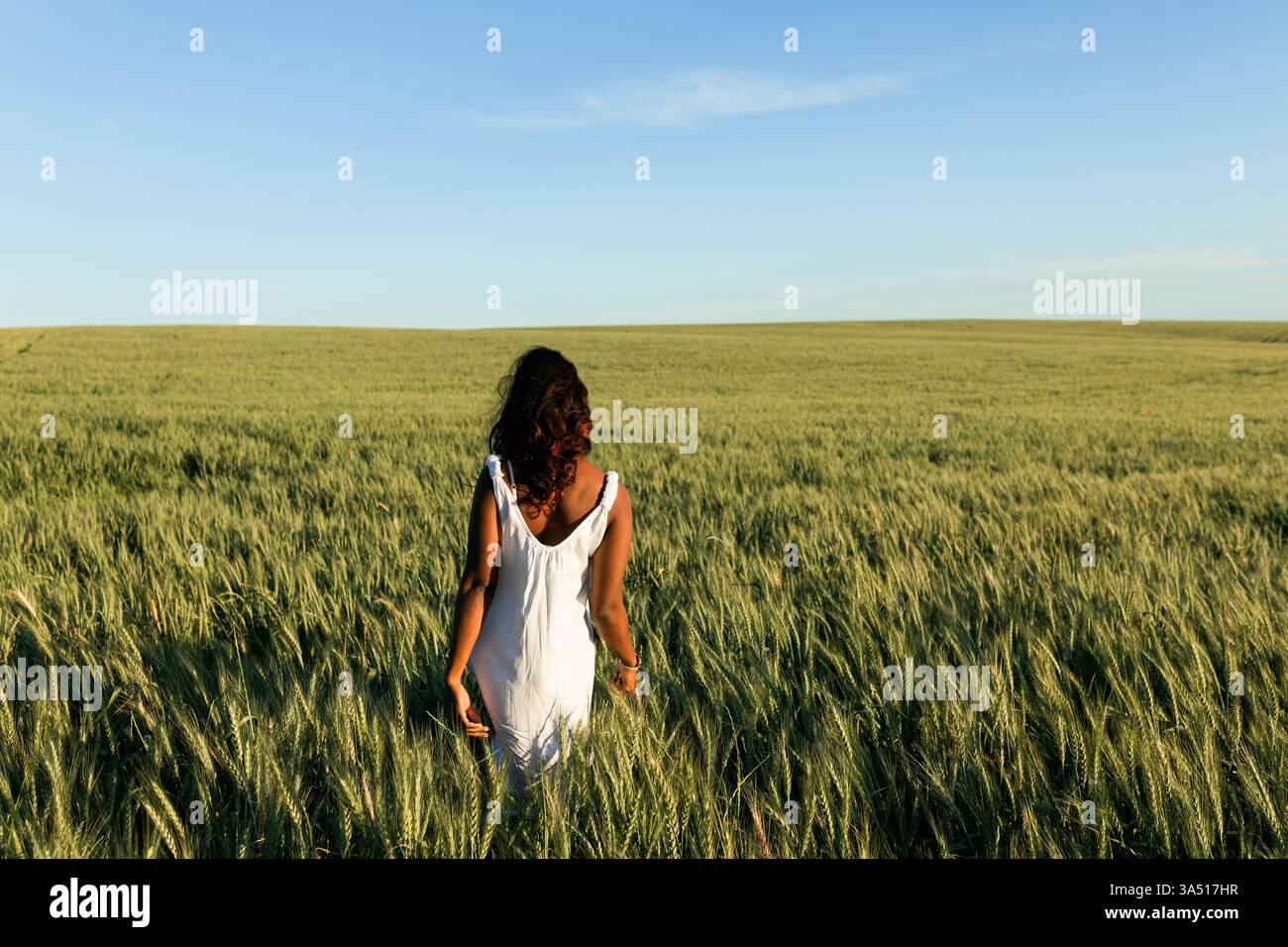 Una donna nera si trova in un campo di grano verde in una giornata di sole, creando una tranquilla scena di campagna. Ottimo per lo stile di vita, la natura e le campagne all'aperto. L'immagine trasmette crescita, armonia e vitalità. Foto Stock