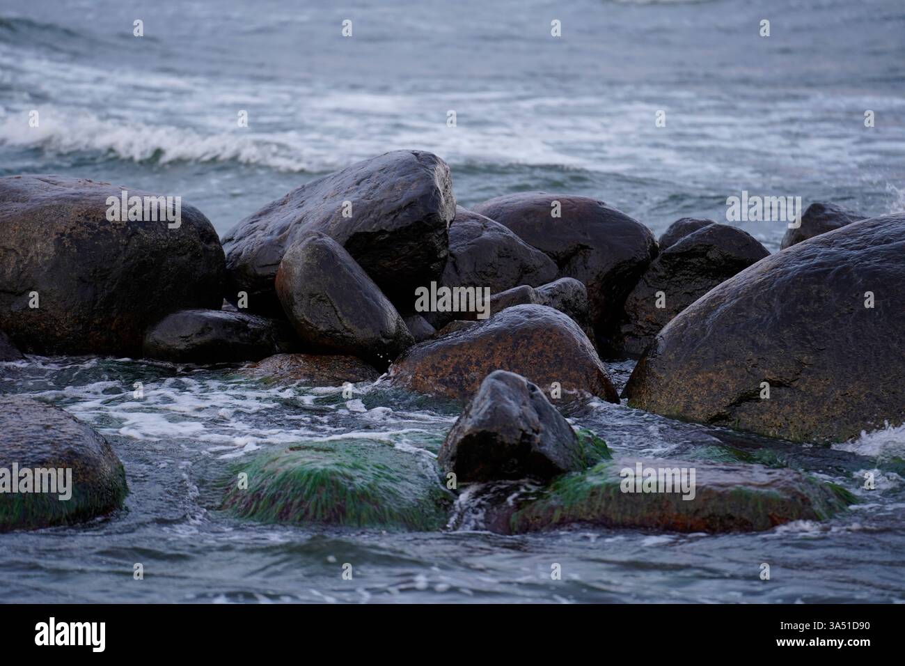 Grandi pietre bagnate lucide nel Mar Baltico, Gotland, mattina presto alle 04,32 Foto Stock