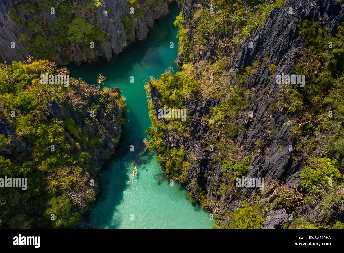 Laguna turchese a Palawan, Filippine, circondata da formazioni rocciose e alberi lussureggianti in una giornata di sole. Lo stile fotografico dei droni offre un'immagine di viaggio mozzafiato per la natura e le destinazioni dell'isola. Ideale per turismo, viaggi marketing e amanti della natura. Foto Stock