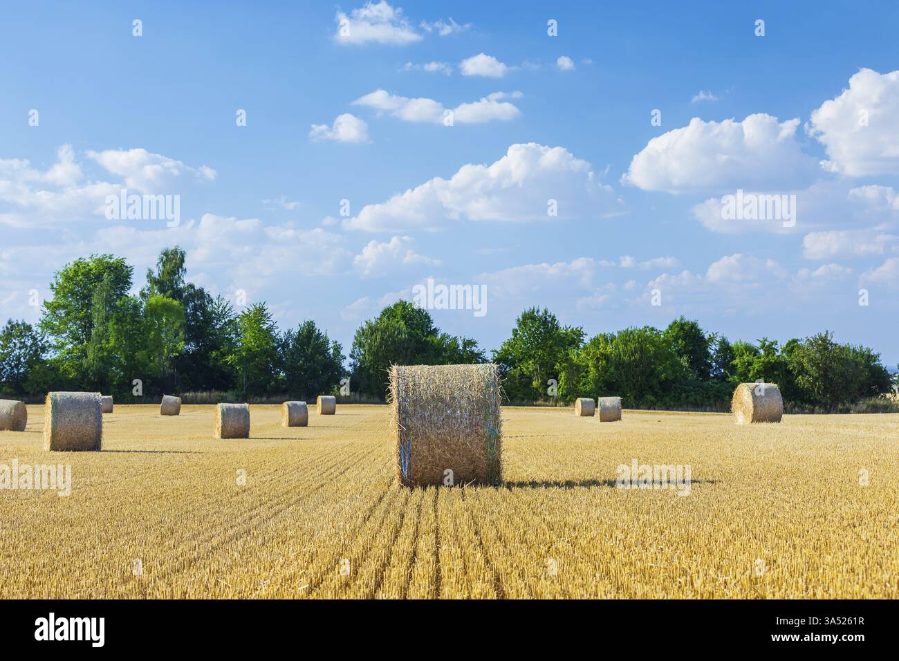 Balle di paglia su un campo di grano raccolto, campo di stoppia, Nossen, Sassonia, Germania, Europa Foto Stock