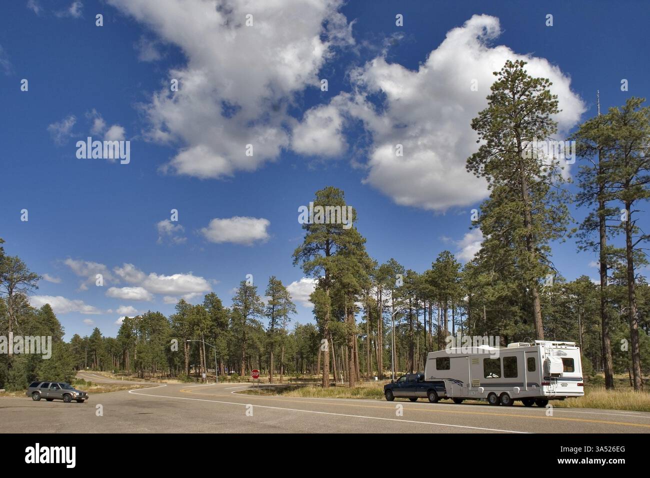 Strada e campeggio per parcheggiare vicino al Grand Canyon negli Stati Uniti Foto Stock