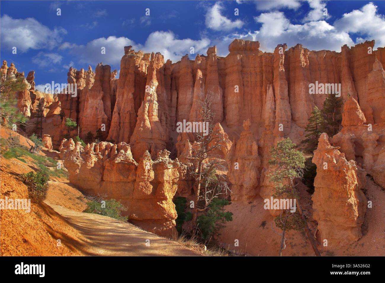 Le famose rocce arancioni del canyon di Bryce nello stato dello Utah USA Foto Stock