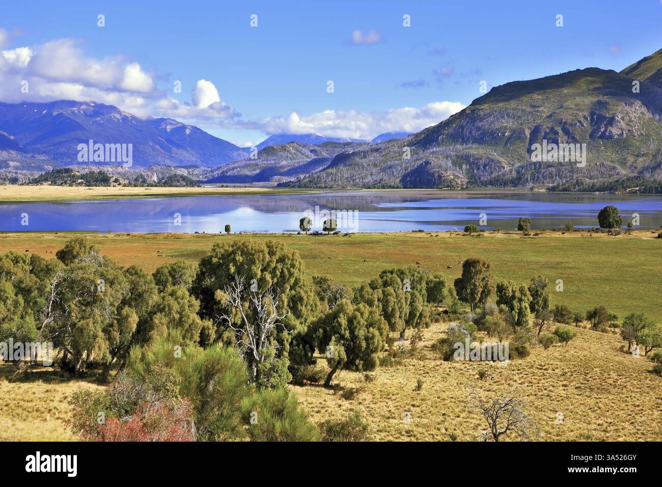 Affascinante idillio rurale. Nuvole riflesse nell'acqua liscia del fiume. Le rive del fiume sono ricoperte di foreste verdi Foto Stock