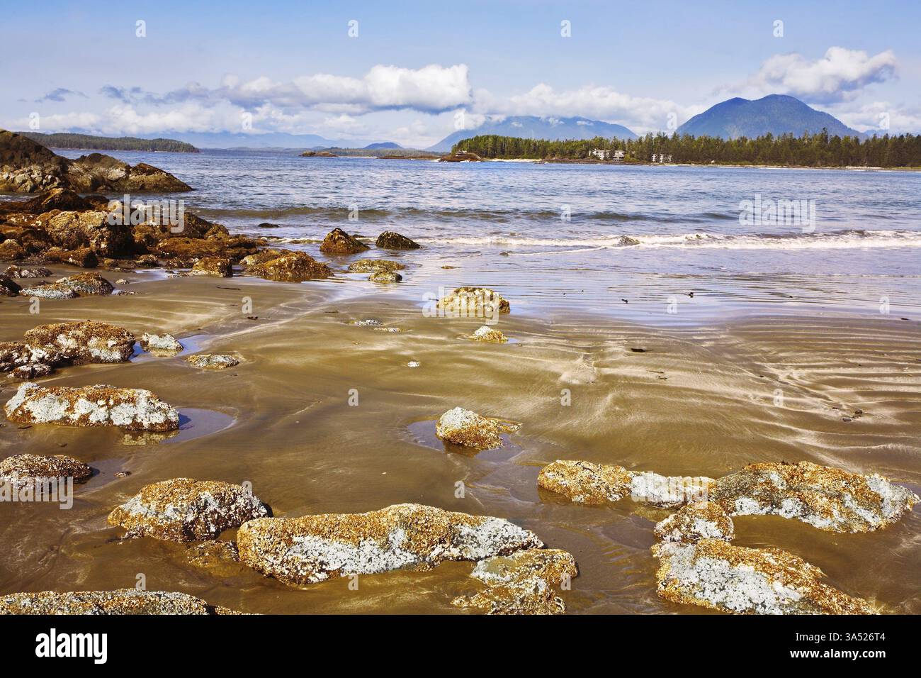 Deflusso sulla costa oceanica del Canada occidentale Foto Stock