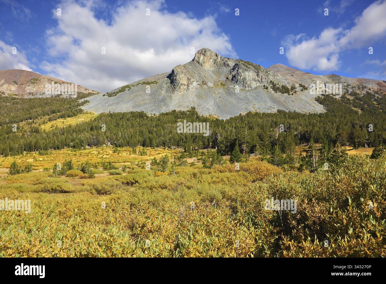 Tranquilla giornata autunnale limpida nelle montagne del parco Il Parco Nazionale di Yosemite. Facile le nuvole e il blu del cielo Foto Stock
