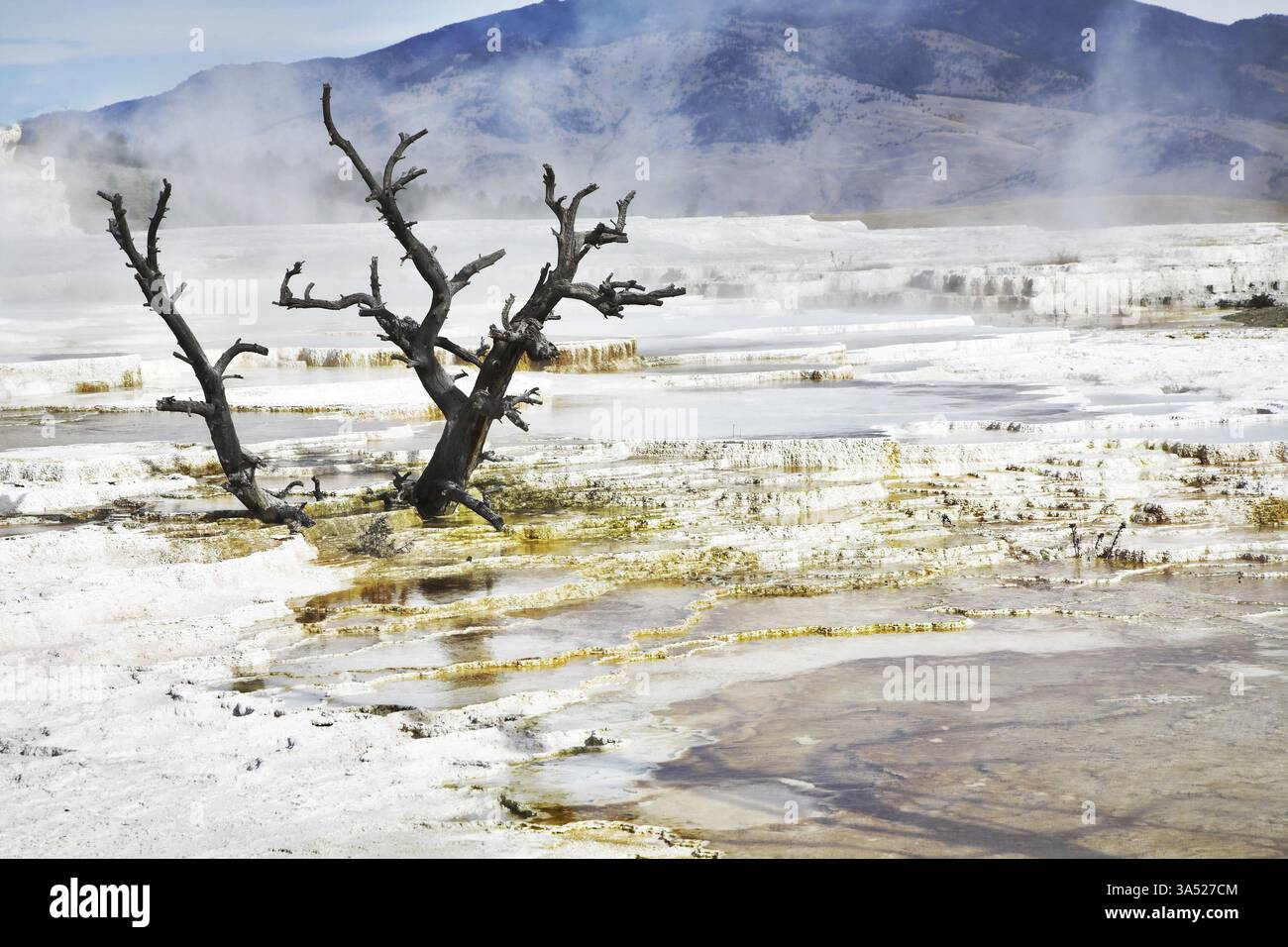 Paesaggio incredibile nel parco nazionale di Yellowstone Foto Stock