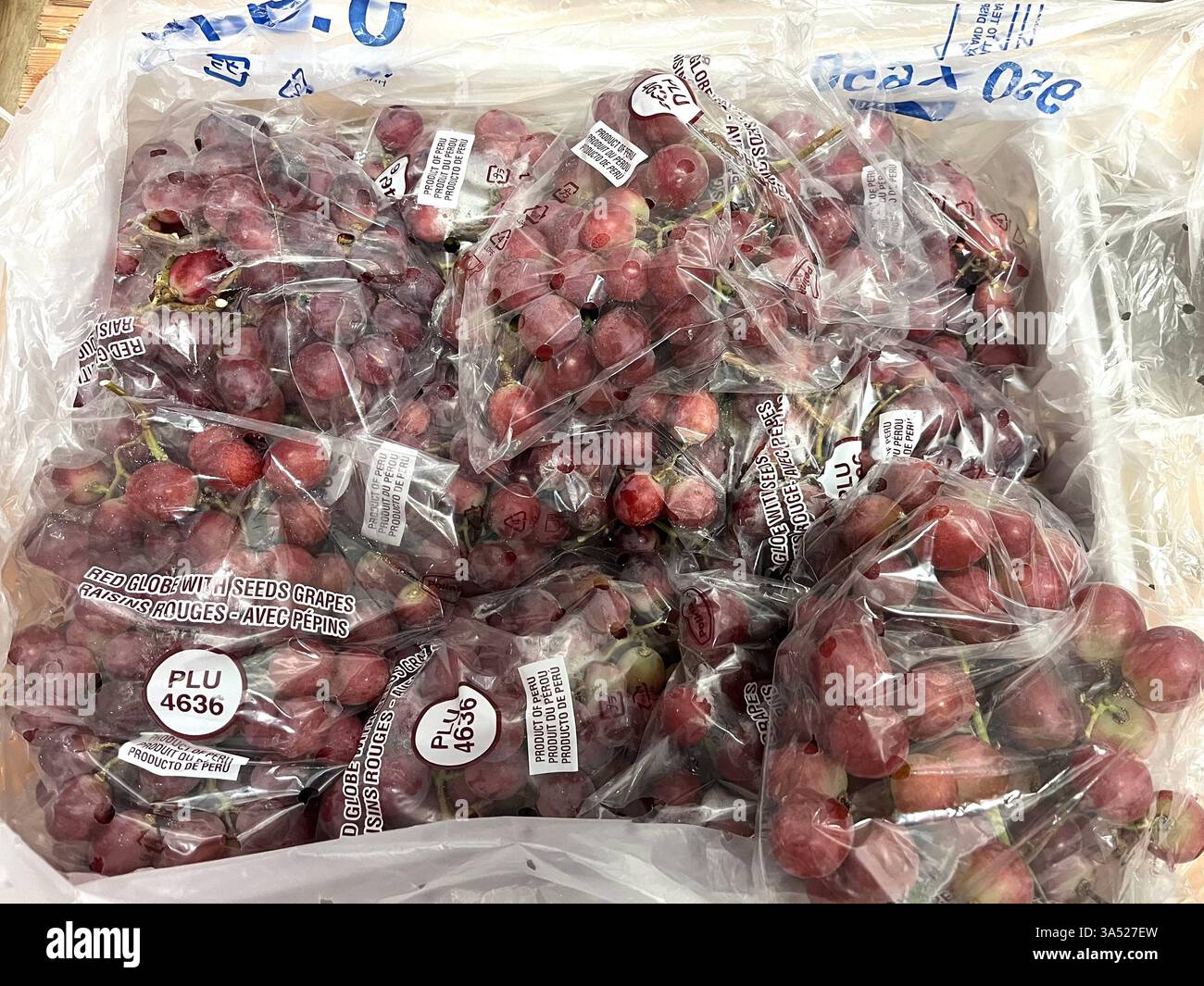 uva frutta, uva rossa, magazzino, magazzinaggio, agricoltura, logistica, stoccaggio della frutta, distribuzione, catena di approvvigionamento, imballaggio in plastica, - Immagine stock catturata con smartphone