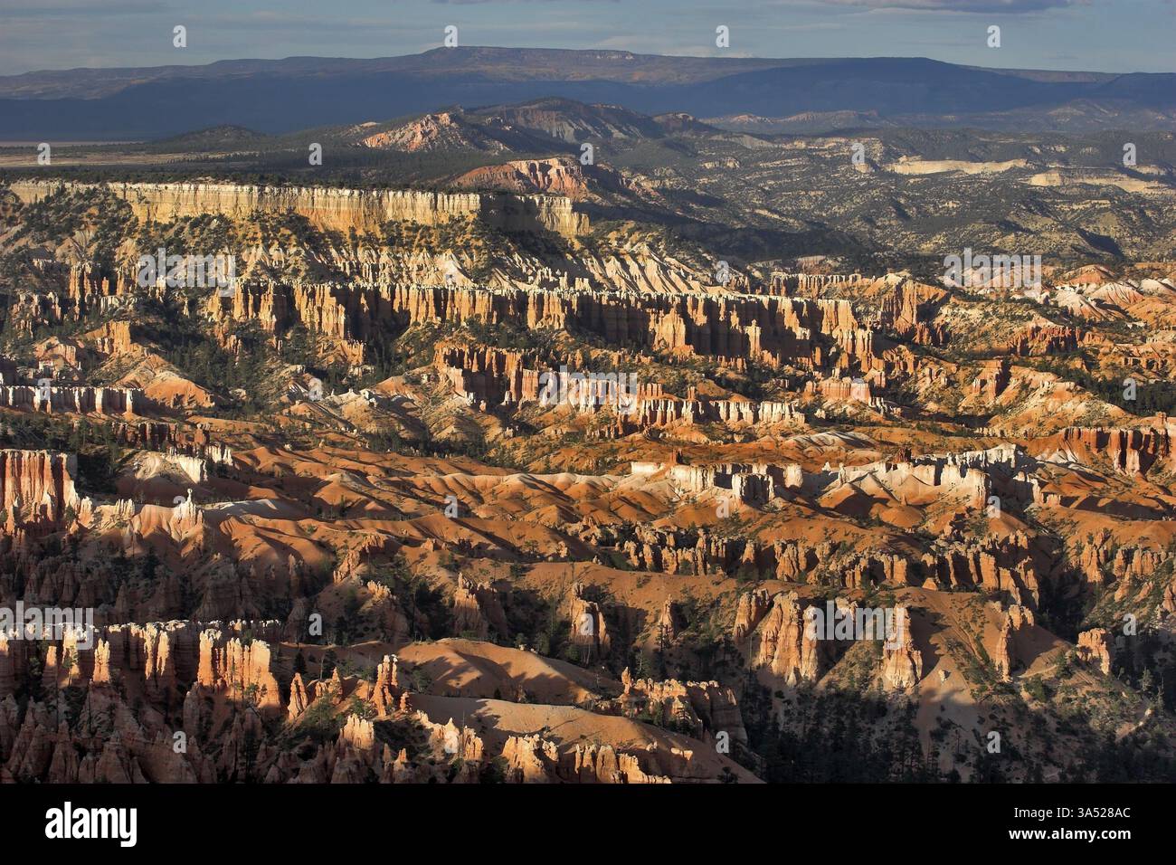 Le famose rocce arancioni del canyon di Bryce nello stato dello Utah USA Foto Stock