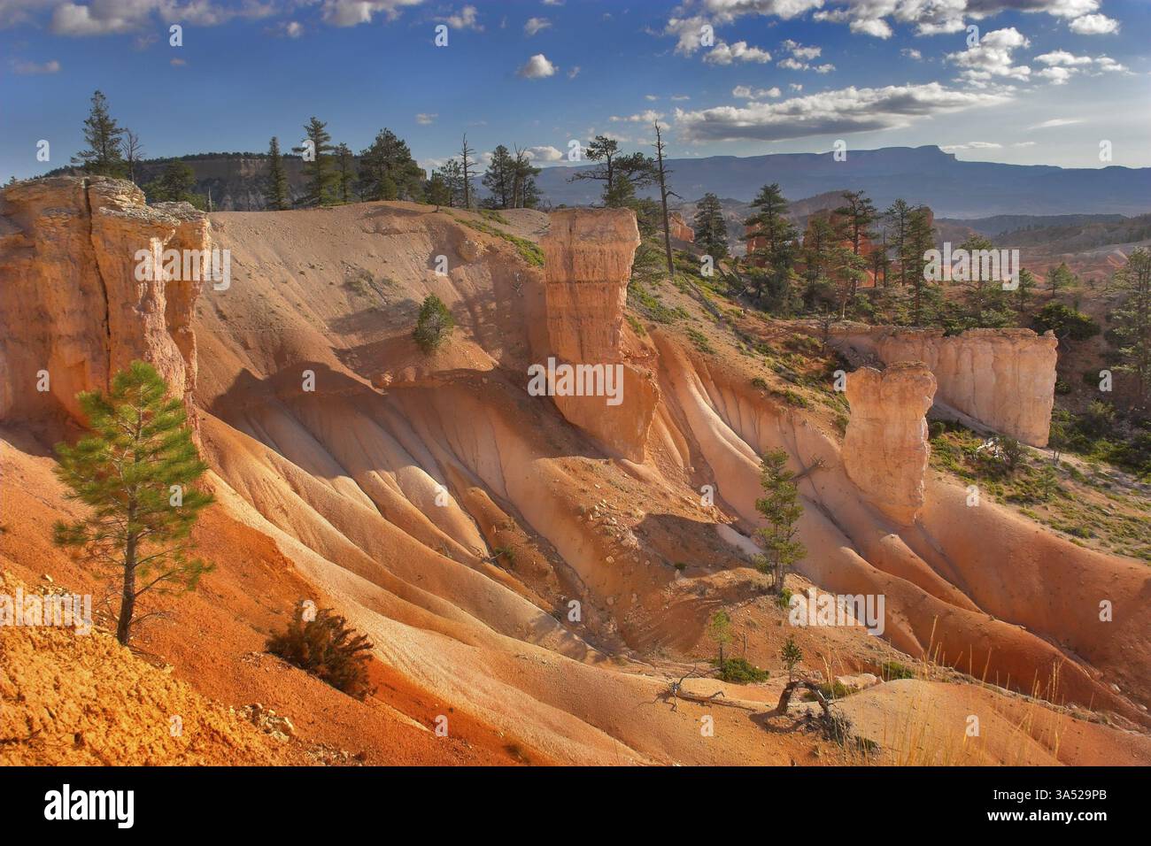 Le famose rocce arancioni del canyon di Bryce nello stato dello Utah USA Foto Stock