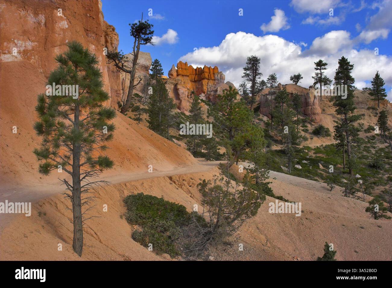 Le famose rocce arancioni del canyon di Bryce nello stato dello Utah USA Foto Stock
