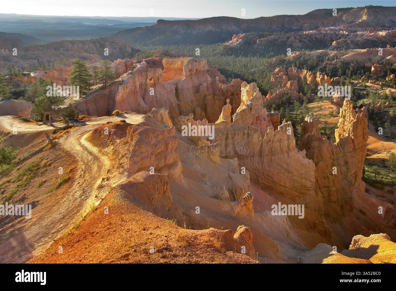 Le famose rocce arancioni del canyon di Bryce nello stato dello Utah USA Foto Stock