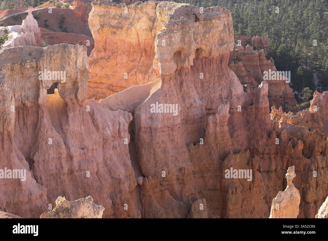 Le famose rocce arancioni del canyon di Bryce nello stato dello Utah USA Foto Stock