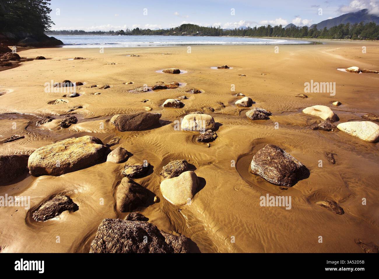 Deflusso sulla costa oceanica del Canada occidentale Foto Stock