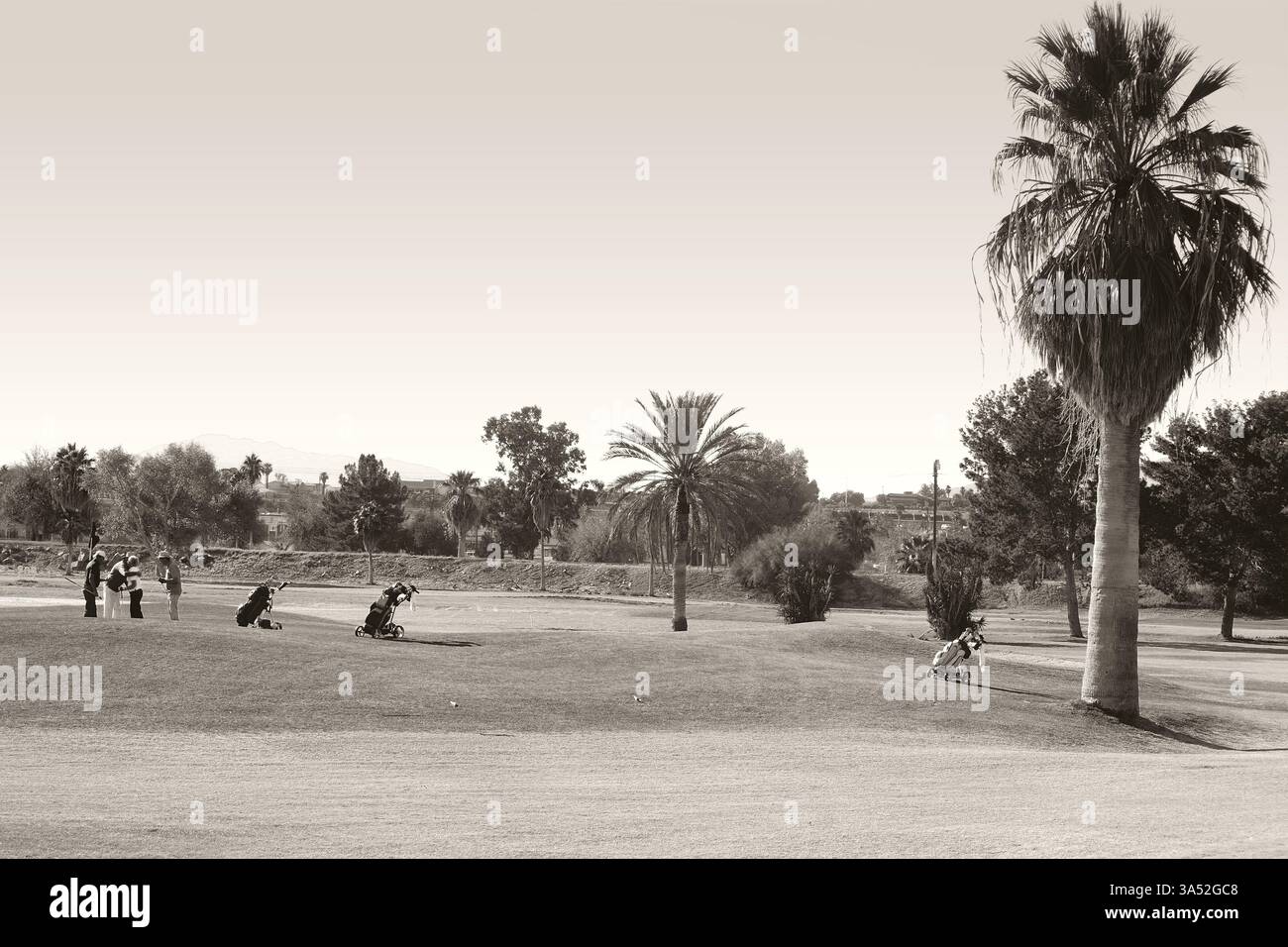 Needles, Stati Uniti - 23 dicembre 2015: I pensionati giocano a golf su un campo piantato di palme in un clima mediterraneo il 23 dicembre 20 Foto Stock