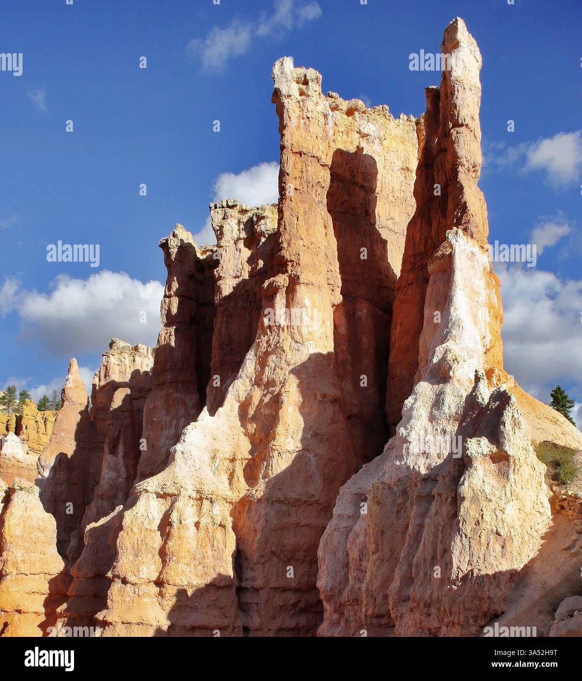 Le famose rocce arancioni del canyon di Bryce nello stato dello Utah USA Foto Stock