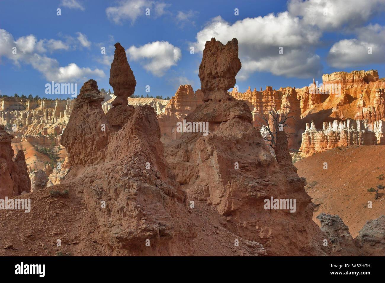 Le famose rocce arancioni del canyon di Bryce nello stato dello Utah USA Foto Stock