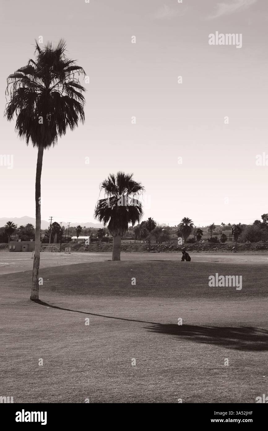 Un campo da golf con prato collinare in un clima mediterraneo con palme Foto Stock