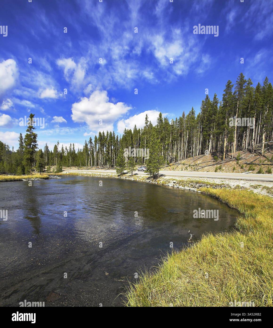 Il fiume Gibbons è piegato in modo regolare nel parco nazionale di Yellowstone Foto Stock