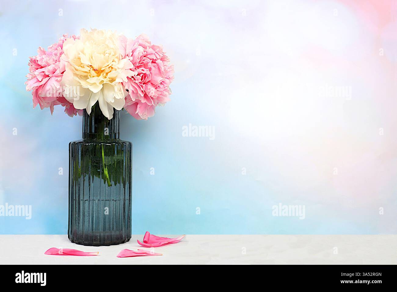 Bella disposizione floreale astratta di peonie fresche in vaso. Fase per l'esposizione dei prodotti e il concetto aziendale. Estetica moderna e minimalista, eleganza Foto Stock